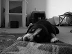DSCF0543.JPG