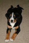 DSCF0548.JPG