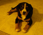 DSCF0553.JPG
