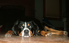 DSCF1420.JPG
