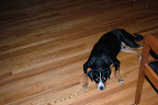 DSCF1418.JPG