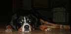 DSCF1419.JPG