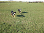 CIMG0043.JPG