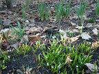 DSCF1570.JPG