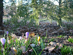DSCF1568.JPG