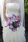 MRP_2946_1.JPG