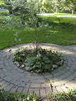 CIMG0078.jpg