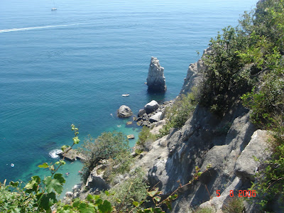 DSC01473.JPG