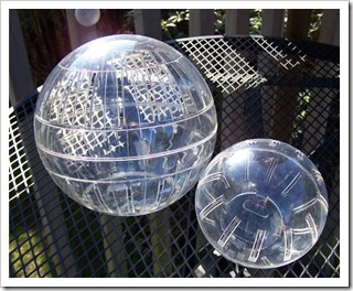 excerciseballs
