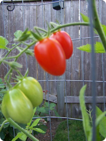 August 18 2010 (3)