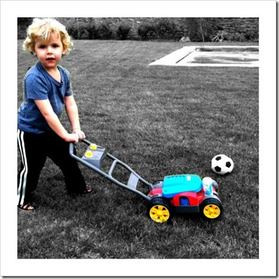 Lucasmowing