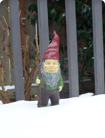 gnome (1)