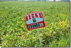 becks seed 3