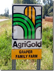 agrigold seed 1 agrigold seed 1