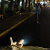 Dsc02377