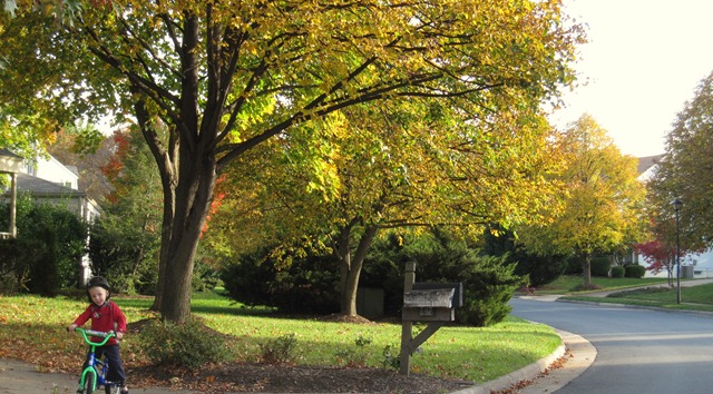 [fall days 043[1].jpg]