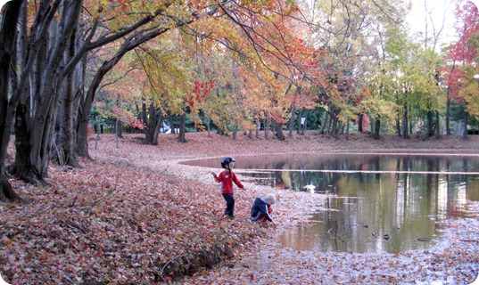 fall days 071