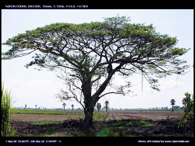 รูปภาพ