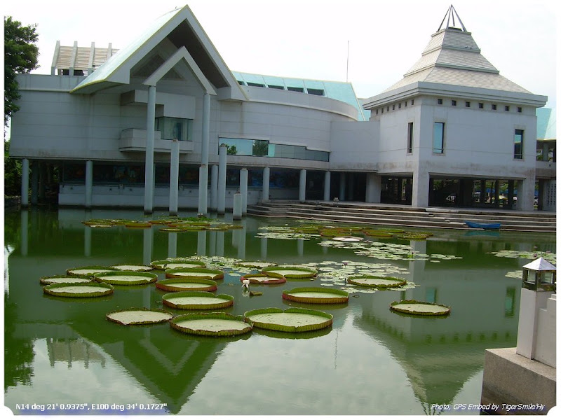 รูปภาพ
