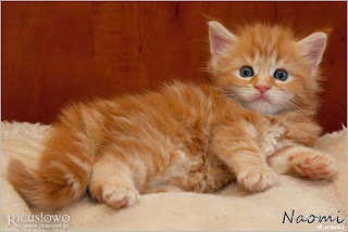 IMG_9820a-naomi.jpg
