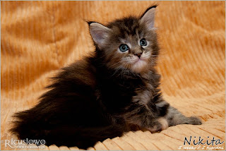 IMG_9869a-nikita.jpg