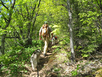 IMG_2528.JPG Photo