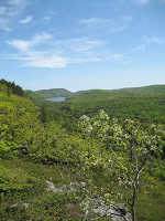 IMG_2529.JPG Photo