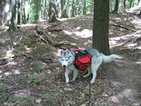 IMG_2546.JPG Photo