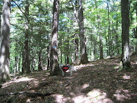 IMG_2550.JPG Photo