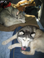 IMG_2566.JPG Photo