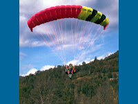 1996: Falhawk Neo. This was my first screen. Was a bit annoyed that I always fell down on the hangar. So I had it in 3 months. It had a glide ratio: brick. :-)