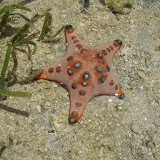 PA100016.JPG