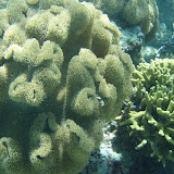 PA120096.JPG