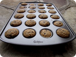 minimuffins