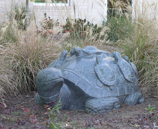 garden ponds for turtles pictures