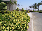 100_0273.jpg