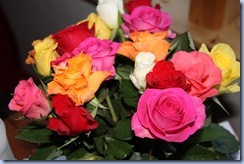 IMG_8411 IMG_8411