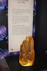 IMG_2003.JPG