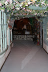 IMG_2234.JPG