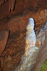 IMG_2306.JPG