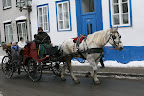IMG_5098.JPG