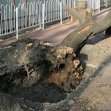 IMG_5863.JPG