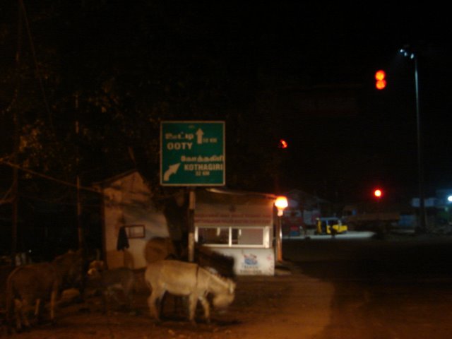 Bhavani Bridge - Kothagiri pirivu