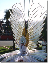 IMG_1014 IMG_1014