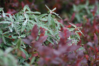 IMG_7701.JPG