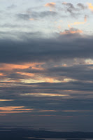 IMG_8893.JPG
