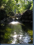 IMG_3007 IMG_3007