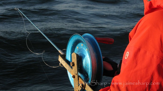 [Norway(c)JSharp2010-8958[5].jpg]