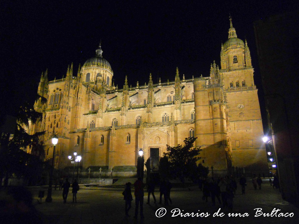 [Catedral Salamanca-1[4].jpg]