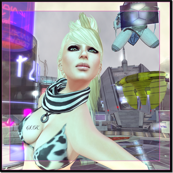Linc10_001b Linc10_001b
